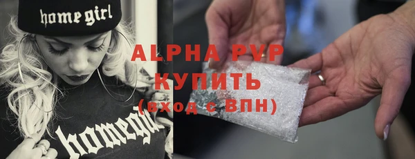 молекула духа Бородино