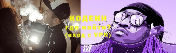 spice Богородицк