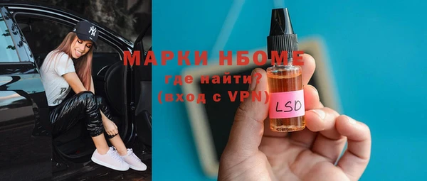 spice Богородицк