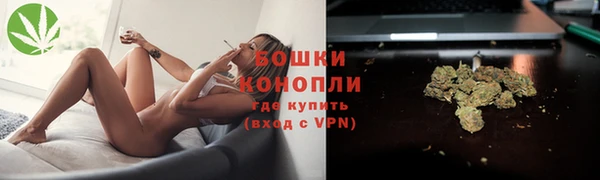 молекула духа Бородино
