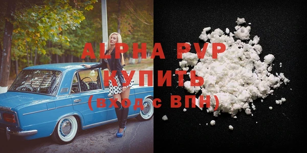spice Богородицк