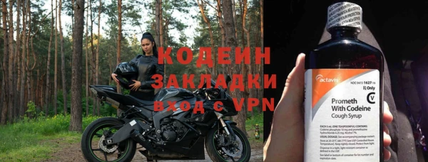 молекула духа Бородино