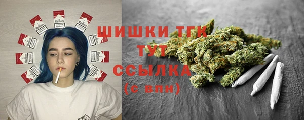молекула духа Бородино