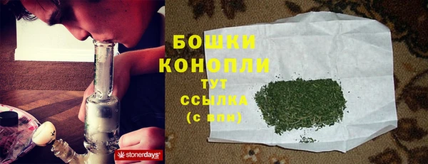 МДПВ Бронницы