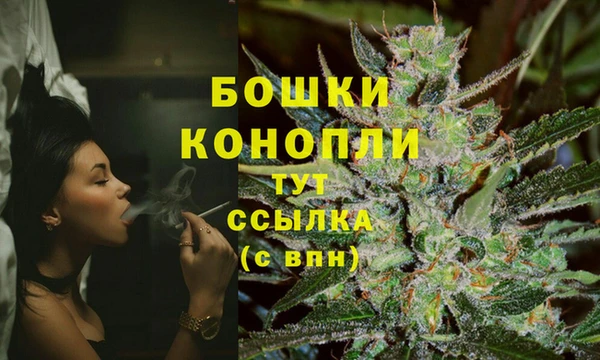 spice Богородицк