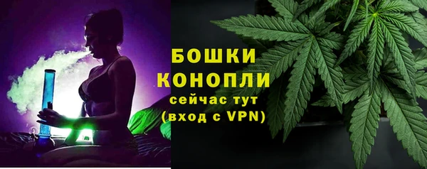 МДПВ Бронницы