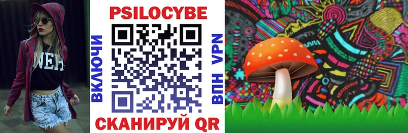купить  цена  Екатеринбург  Псилоцибиновые грибы Psilocybe 